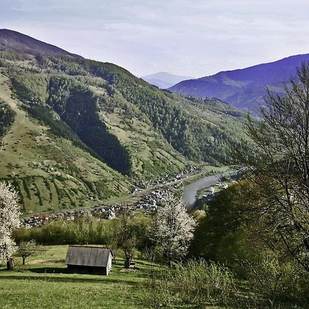 Dream Hostel Carpathians Rachiv Buitenkant foto