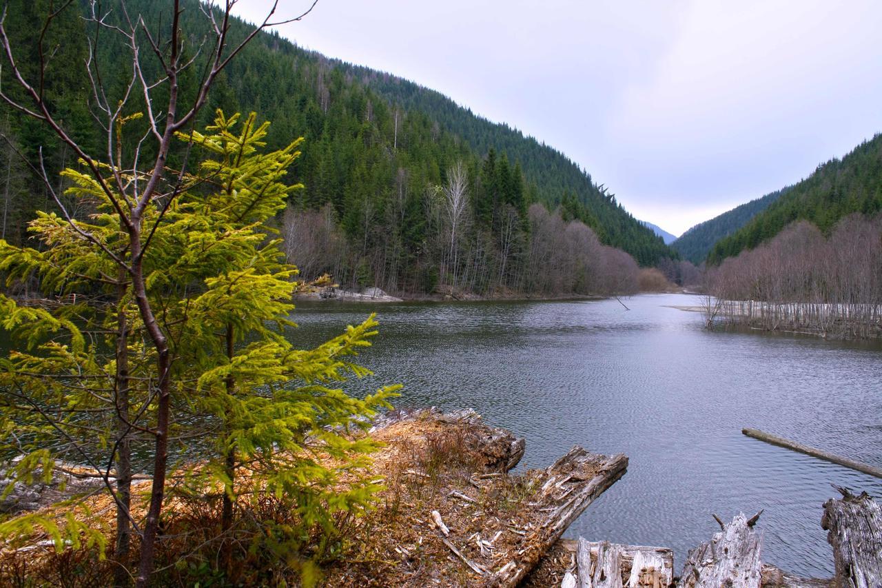 Dream Hostel Carpathians Rachiv Buitenkant foto
