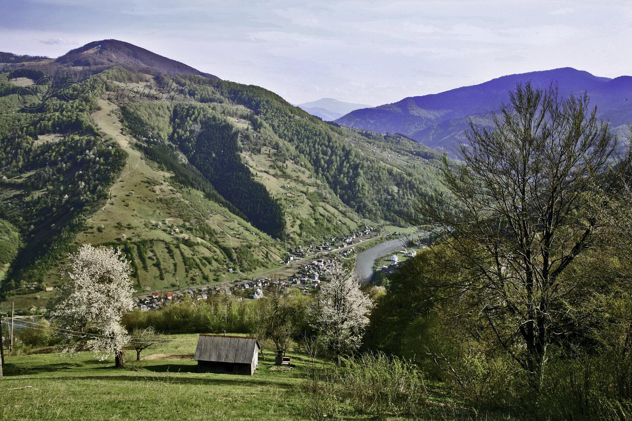 Dream Hostel Carpathians Rachiv Buitenkant foto